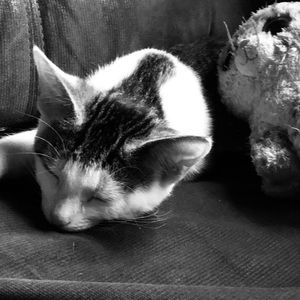 Meet your Posher, Ivette